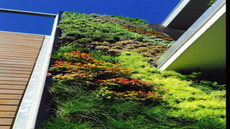 Green Walls – An In-Depth Look At Vertical Planting Trends