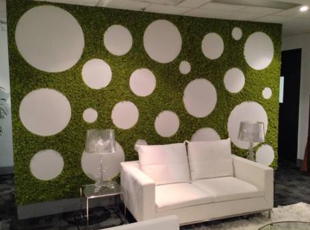 Reasons To Consider A Green Wall