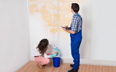 Effective Mould Removal Palmerston: Breathe Easier at Home