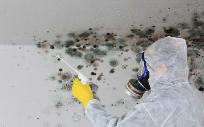 Effective Mould Cleaning Lorne: Protect Your Family and Property