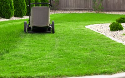 Transform Your Outdoor Space with a Custom Landscape Contractor Sydney NSW Locals Trust
